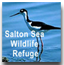 Salton Sea Refuge