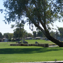 Desert Trails RV Resort & Golf Course