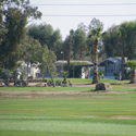 Desert Trails RV Resort & Golf Course