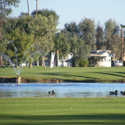 Desert Trails RV Resort & GolfCourse