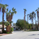 Desert Trails RV Resort & Golf Course