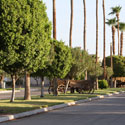 Desert Trails RV Resort & Golf Course