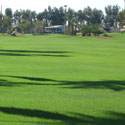 Desert Trails RV Resort & Golf Course